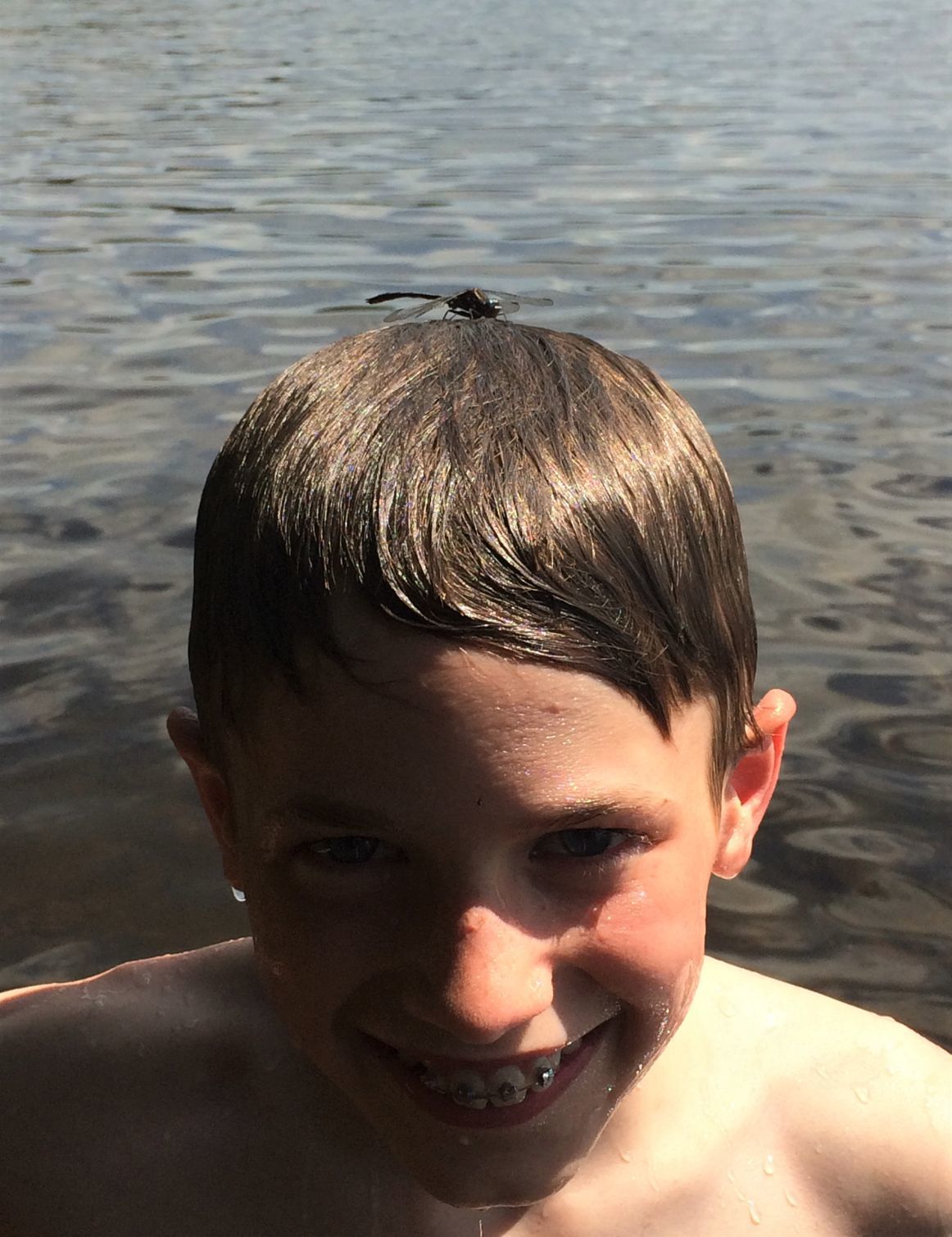 Dragonfly on Umbagog